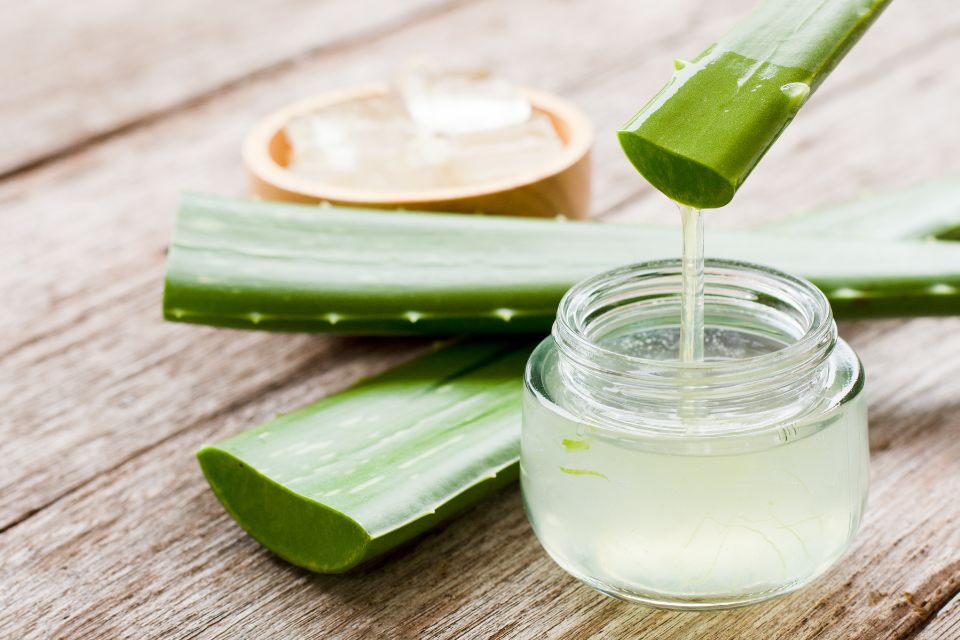 L'aloe vera : un incontournable dans les soins du visage !